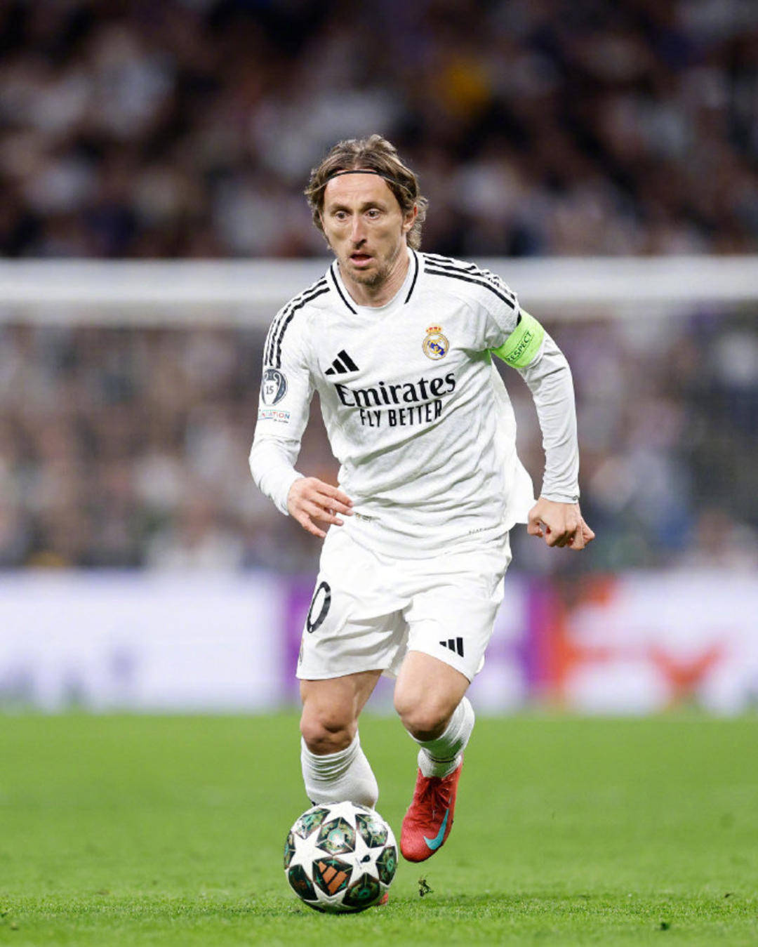 东体预测申花首发：阿苏埃和米内罗搭档锋线，鲍亚雄继续出战